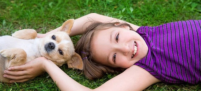 Μπουένος Άιρες: Ο πρώτος σκύλος «ψυχο»-θεραπευτής κακοποιημένων παιδιών